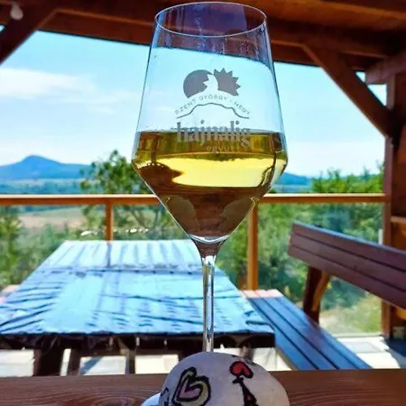 Cseppko House Vineyard & Panorama Szent-gyoergy Hegy *