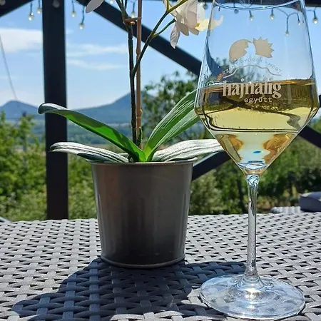 Cseppko House Vineyard & Panorama Szent-gyoergy Hegy 度假居